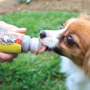 lick liquid dog treat training